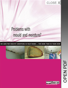Problems with mould and moisture